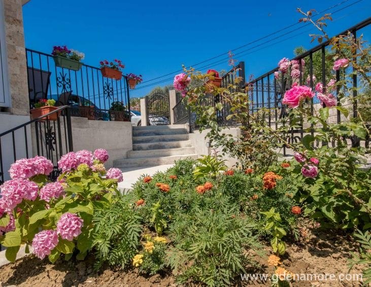 Apartments GALEB-163